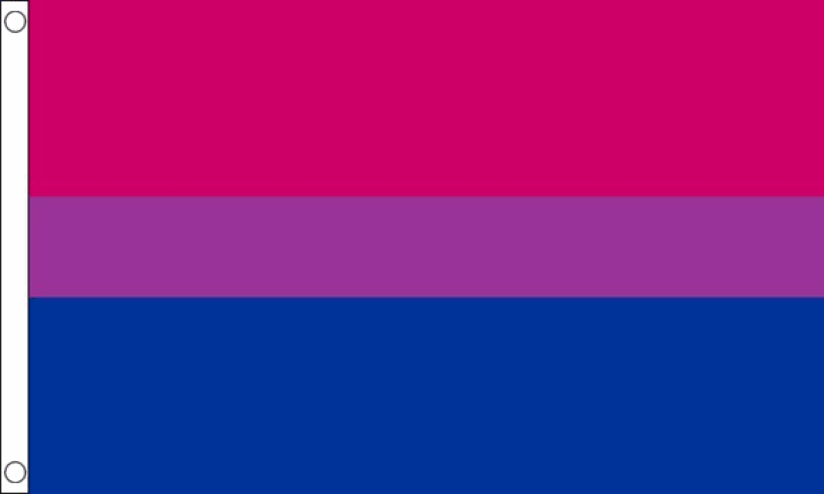 Bi Pride Flag Medium Mrflag