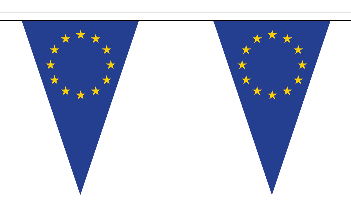 12 Flags European Union EU 5M Triangle Flag Bunting Triangular 