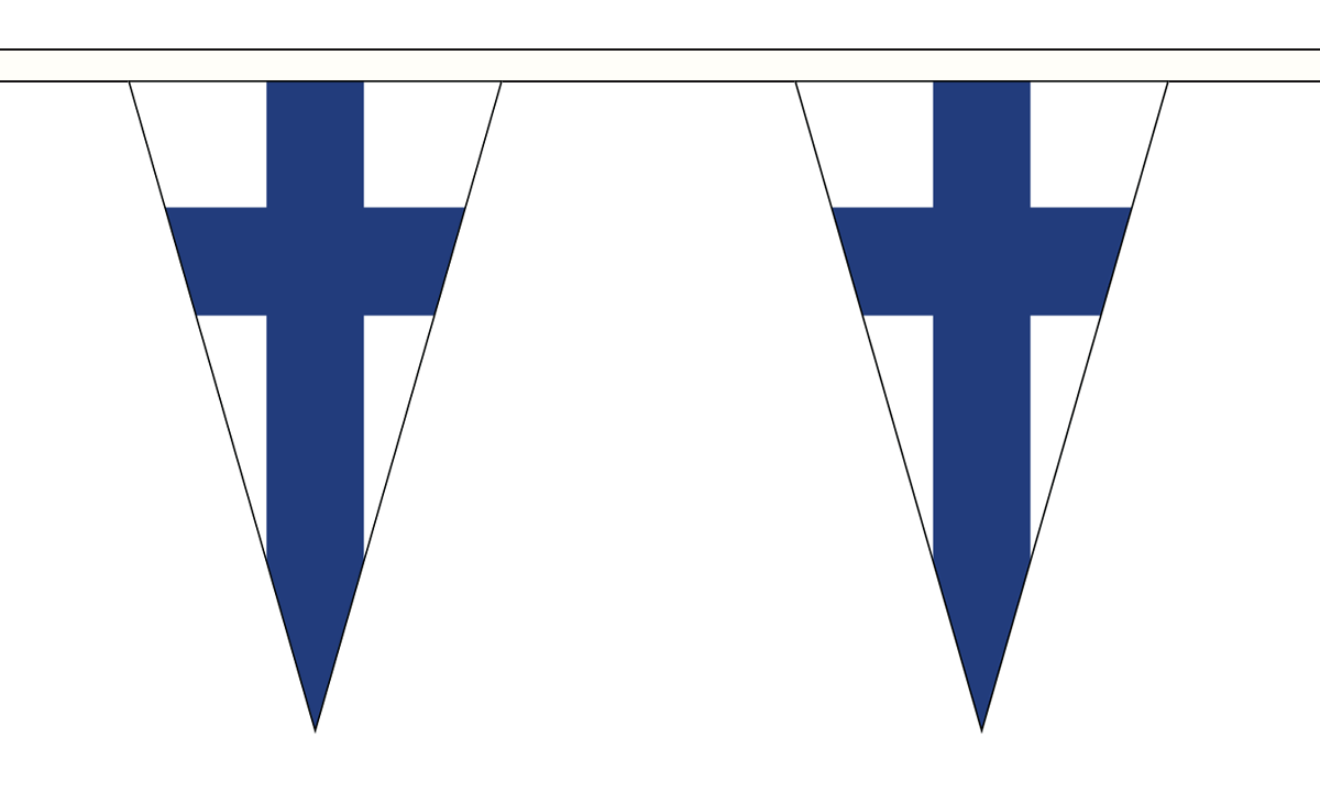 20 flags Finland National Bunting 6 metre