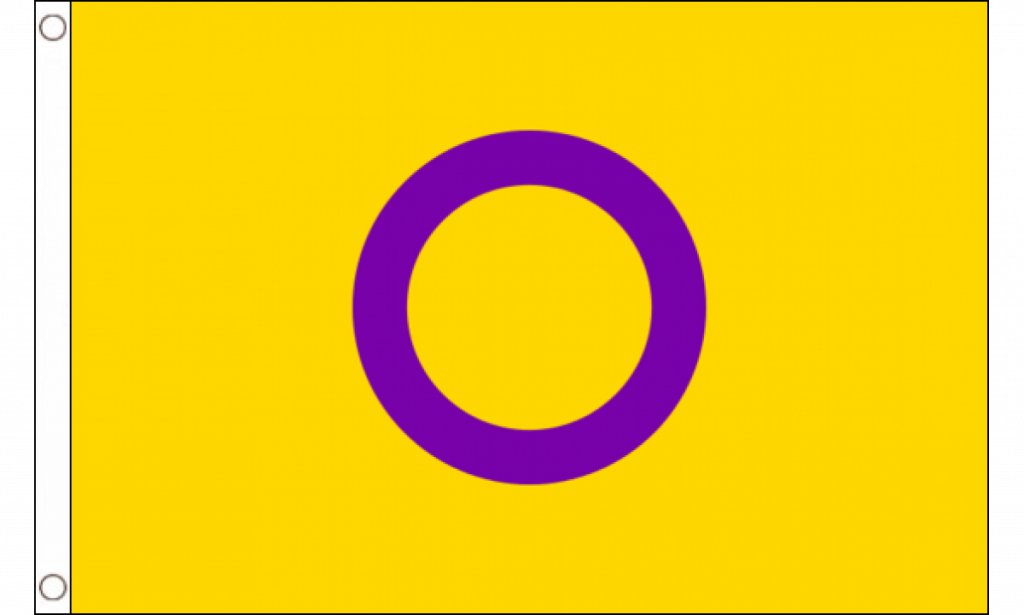 Intersex Yellowpurple Pride Flag Medium Mrflag