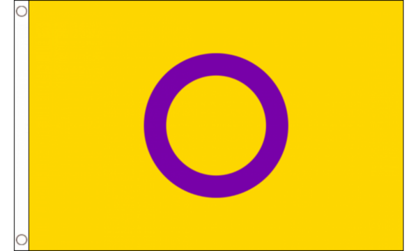 Intersex Yellow Purple Pride Flag Medium Mrflag