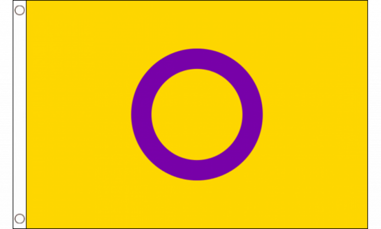 Intersex Yellow Purple Pride Flag Medium Mrflag
