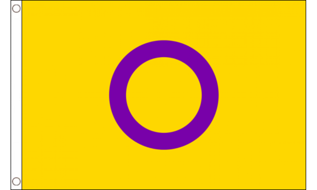 Intersex Yellow Purple Pride Flag Medium Mrflag