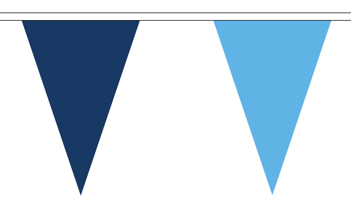 Navy and Sky Blue Triangle Flag Bunting 54 flags on this 20 metre Long Bunting 