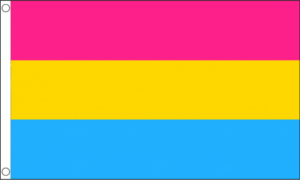 pansexual flag