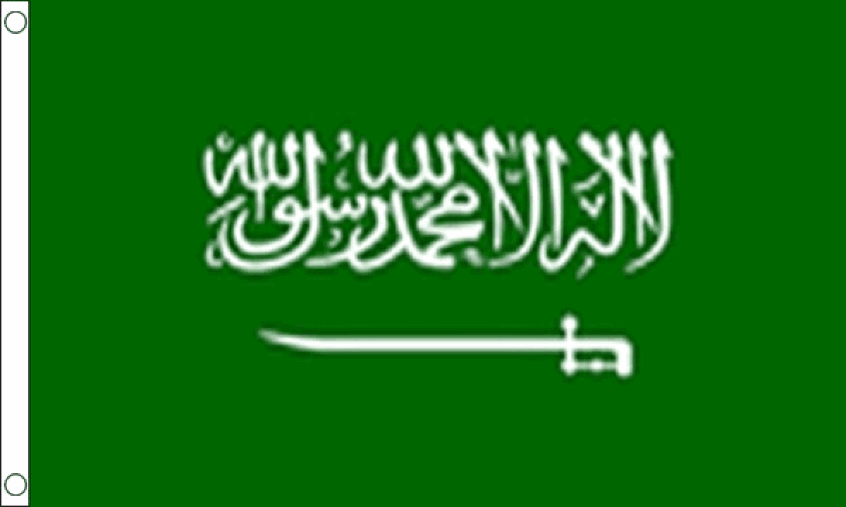 Various Lengths Saudi Arabia Flag Polyester Bunting 