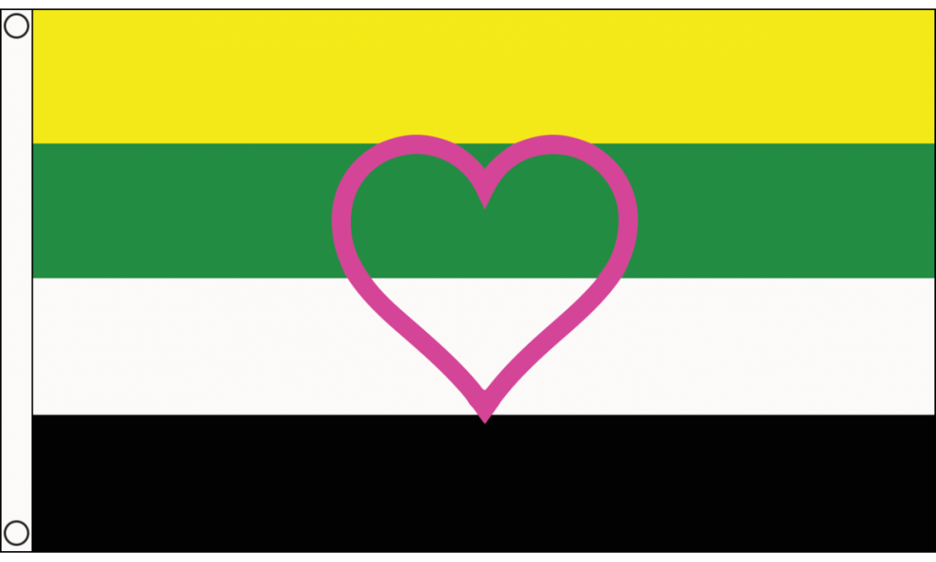 Skoliosexual Flag.