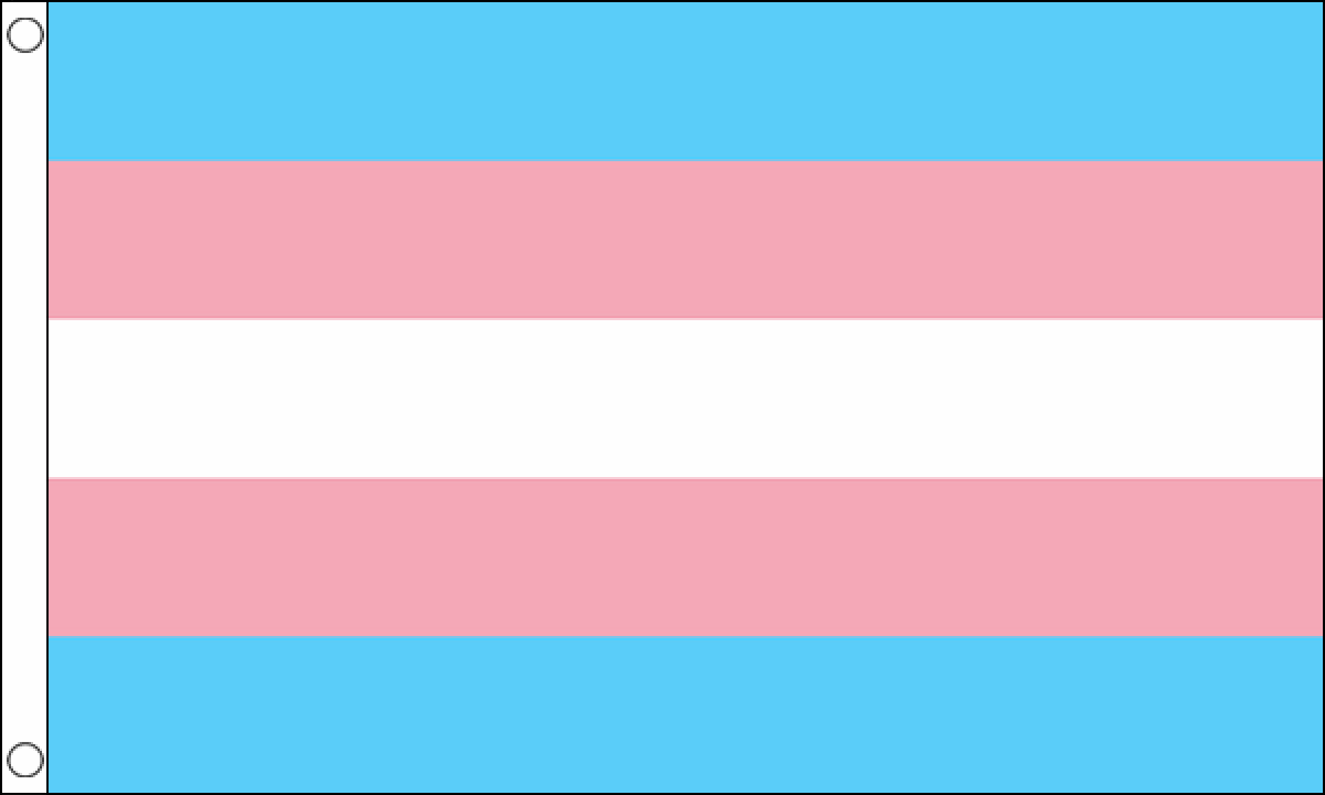 Transgender New Flag Medium Mrflag 