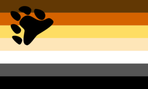 Bear Pride Flag