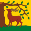 Berkshire Flag