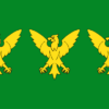 Caernarfonshire Flag