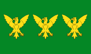 Caernarfonshire Flag