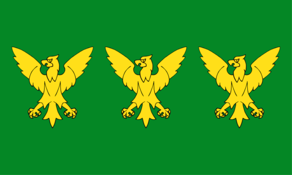 Caernarfonshire Flag