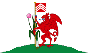 Buy Cardiff Flag