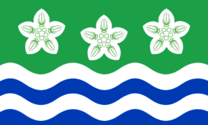 Cumberland Flag