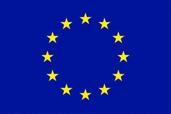 European Union Flag