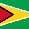 Guyana Flag