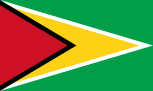 Guyana Flag