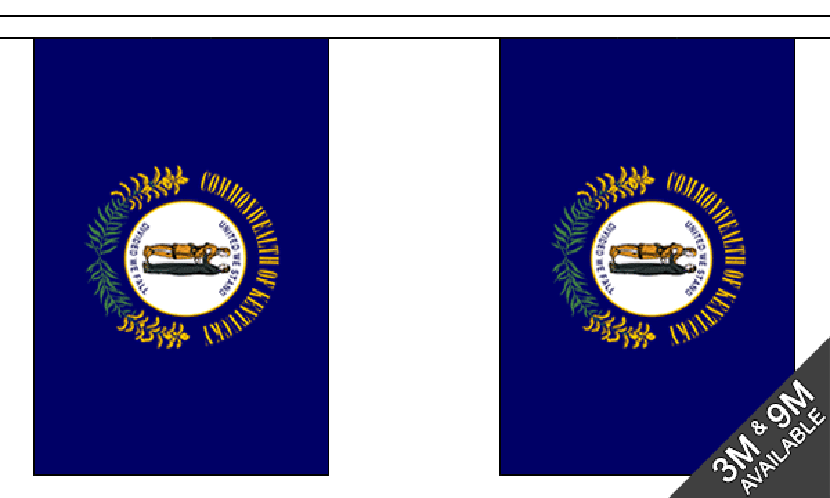 Kentucky Bunting (Standard) - MrFlag