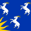 Merioneth Flag