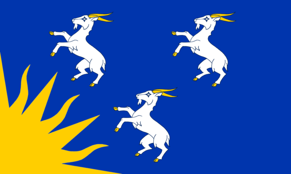 Merioneth Flag