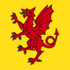 Somerset Flag