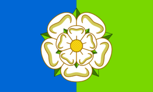 Yorkshire East Riding Flag