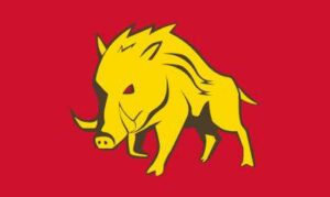 Hampshire Hog Flag