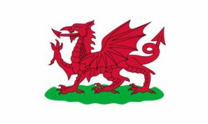 Wales 1807-1953 Flag