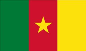 Cameroon Flag