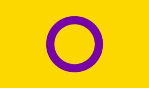 Intersex Pride Flag