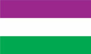 Suffragette Flag