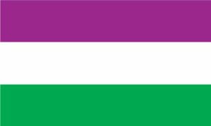 Suffragette Flag