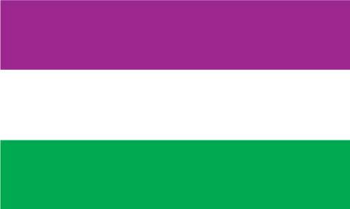 Suffragette Flag