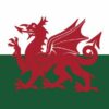 HMPPS Wales Flag