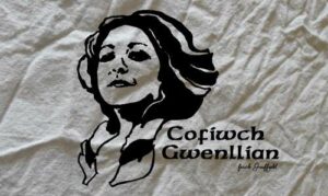 Cofiwch Gwenllian flags