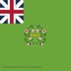 24th Regiment of Foot Regimental Colour