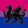 Ddraig Goch | bi flag