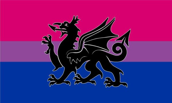 Ddraig Goch | bi flag