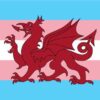 Ddraig Goch trans Flag