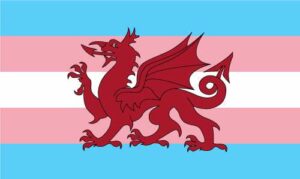 Ddraig Goch trans Flag