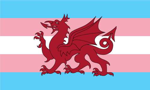 Buy Ddraig Goch Trans Flag, Wales Pride Design