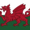 Ddraig Goch