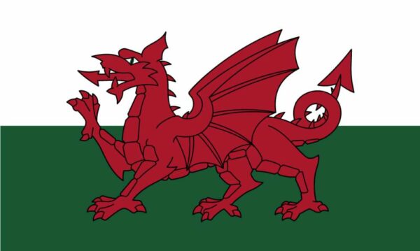 Ddraig Goch