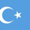 East Turkestan Flag