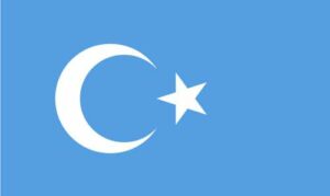 East Turkestan Flag