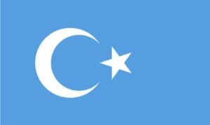 East Turkestan Flag