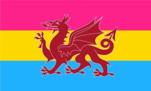 Ddraig Goch Flag