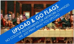 Go Custom Flags