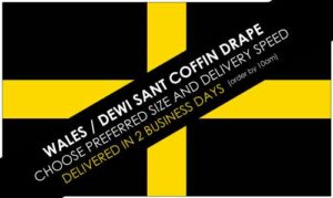 Dewi Sant Coffin